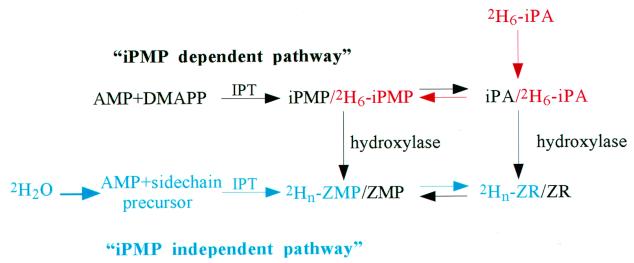 Figure 7