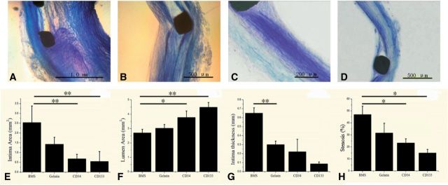 Fig. 10.