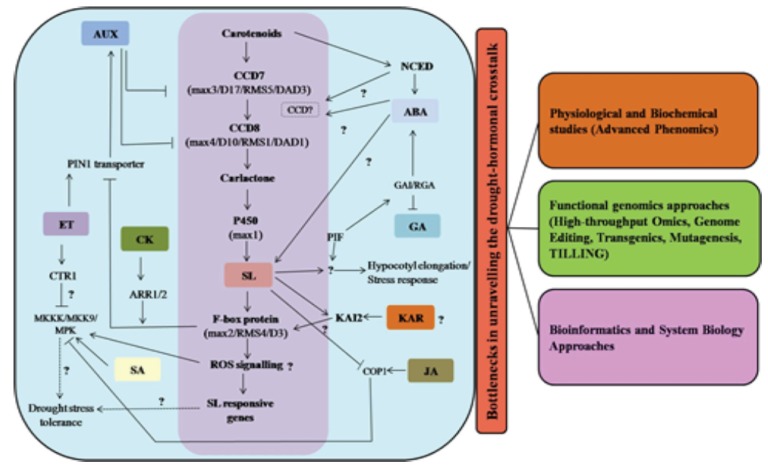 Fig. (3)