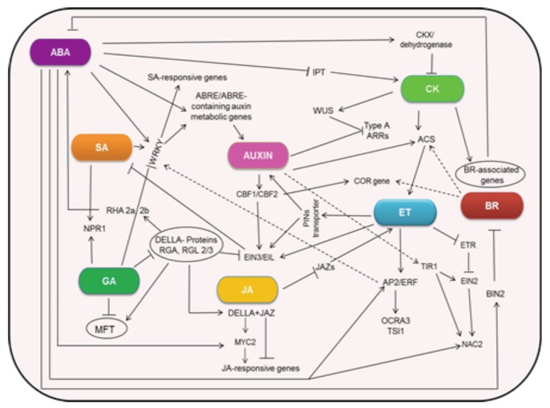 Fig. (2)