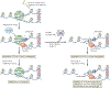 Figure 4 |