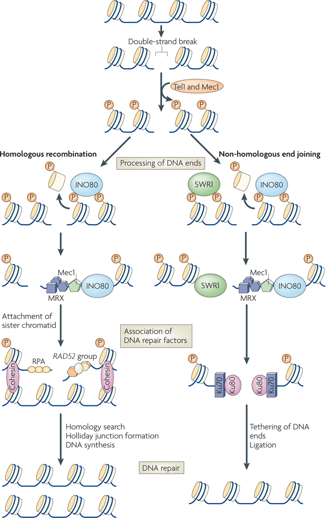 Figure 2 |