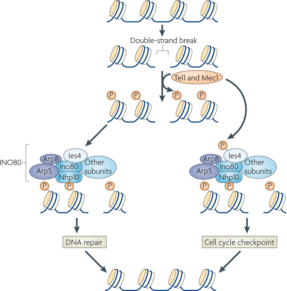 Figure 3 |