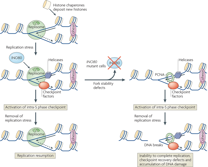 Figure 4 |