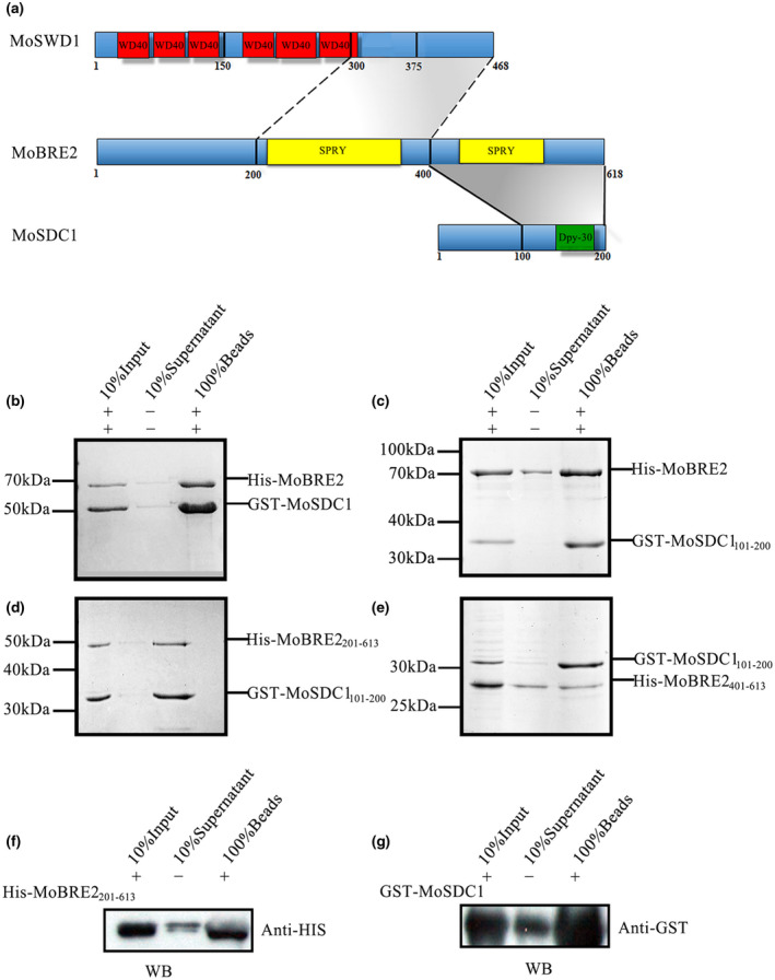 FIGURE 2