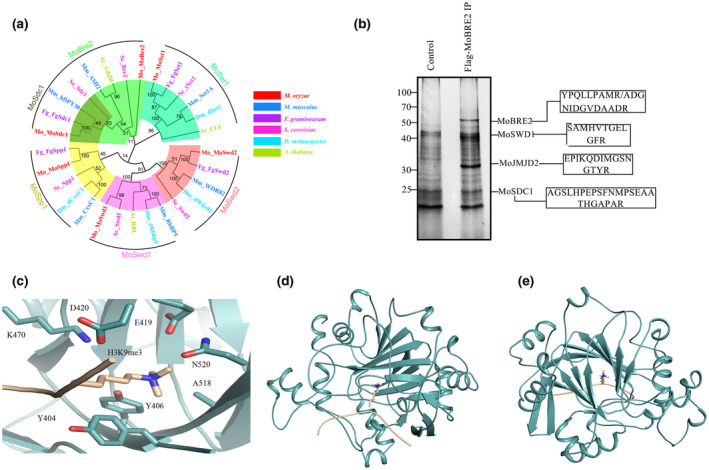 FIGURE 1