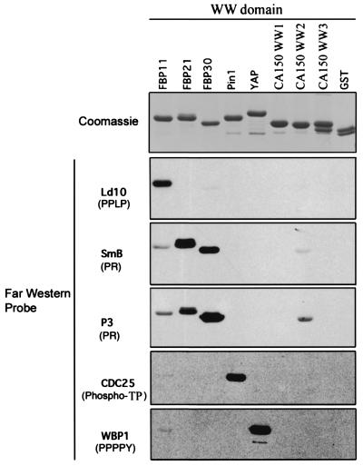 FIG. 5