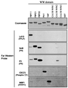 FIG. 5