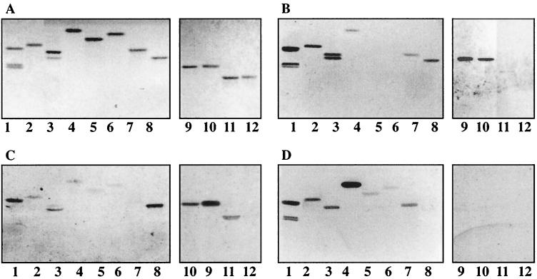 FIG. 7