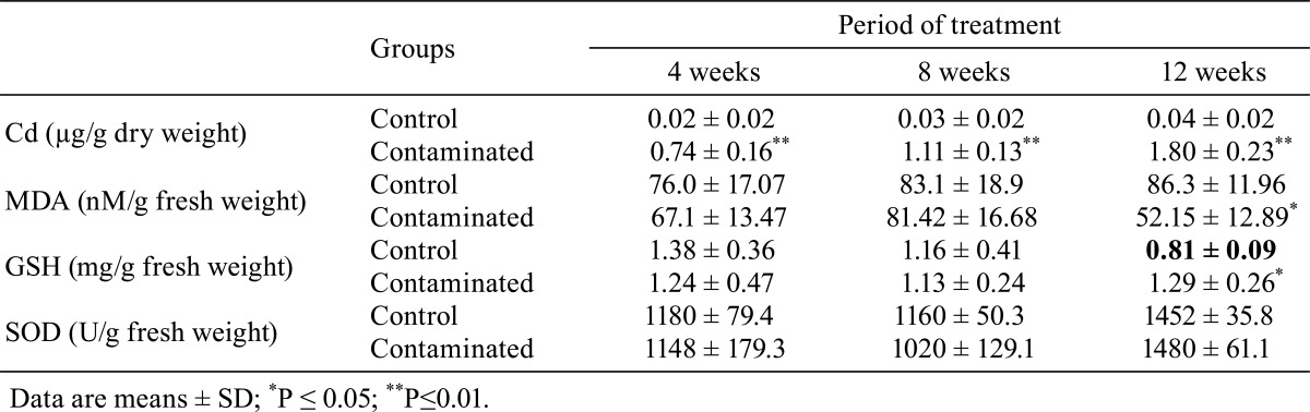 graphic file with name tox-26-359-t002.jpg