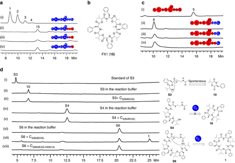 Figure 5