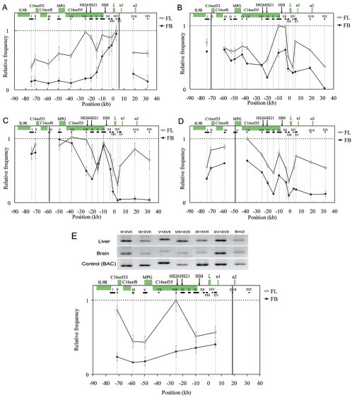 FIG. 4.