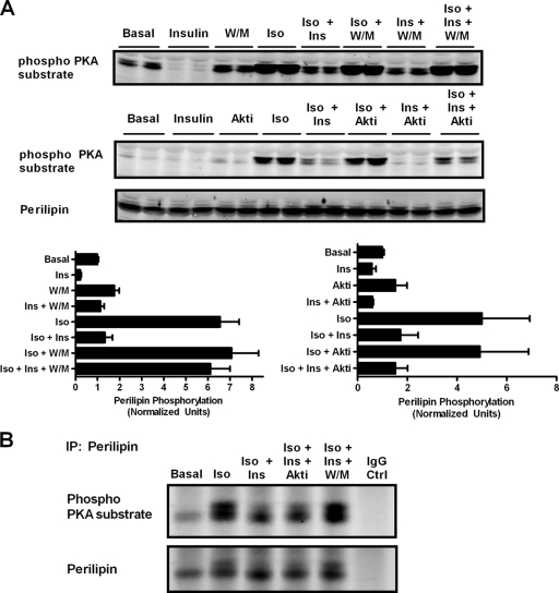 FIG. 7.