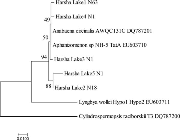 Figure 7