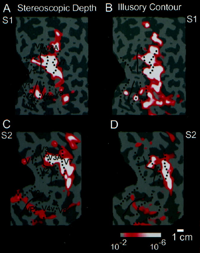 Fig. 5.