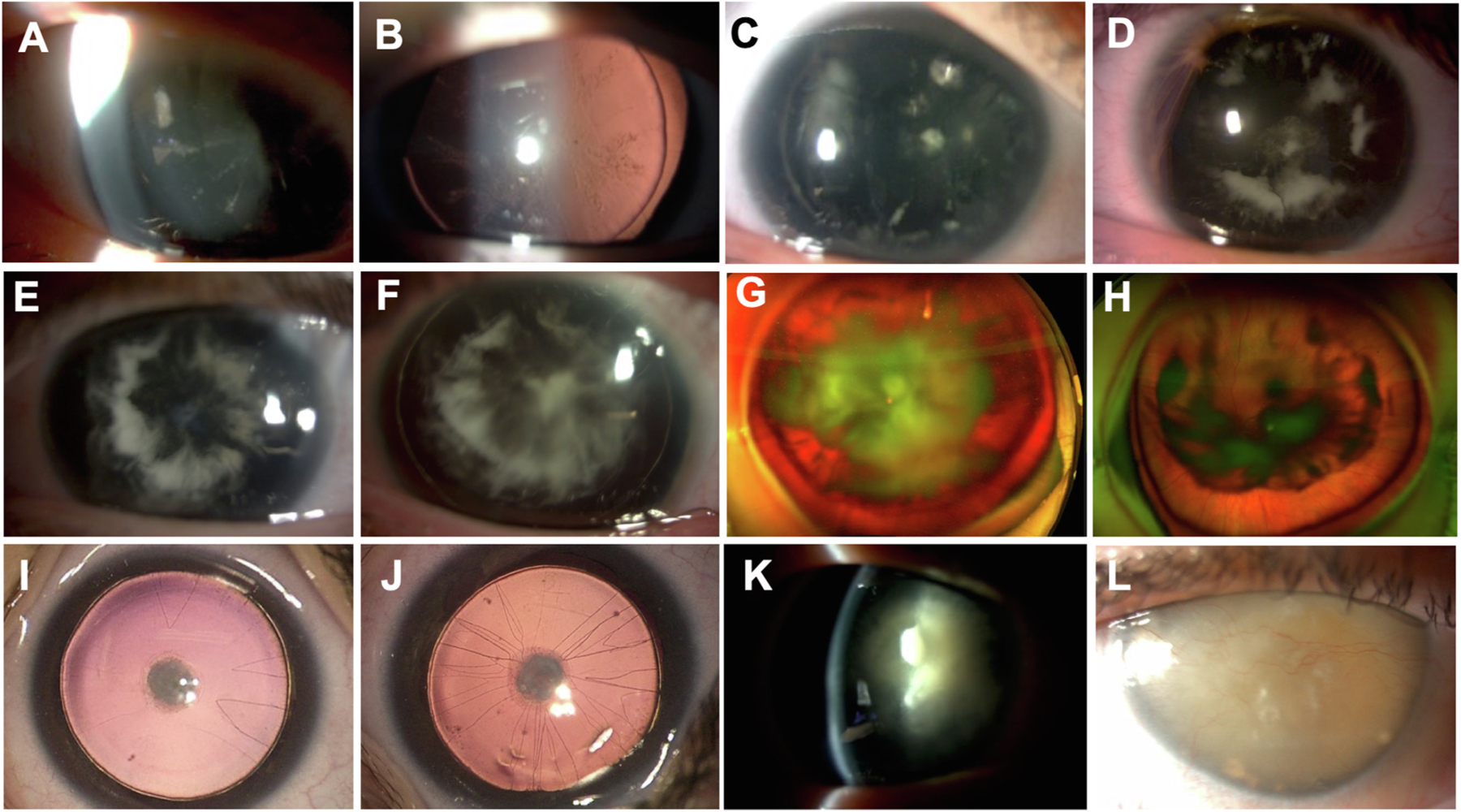 Fig. 7.