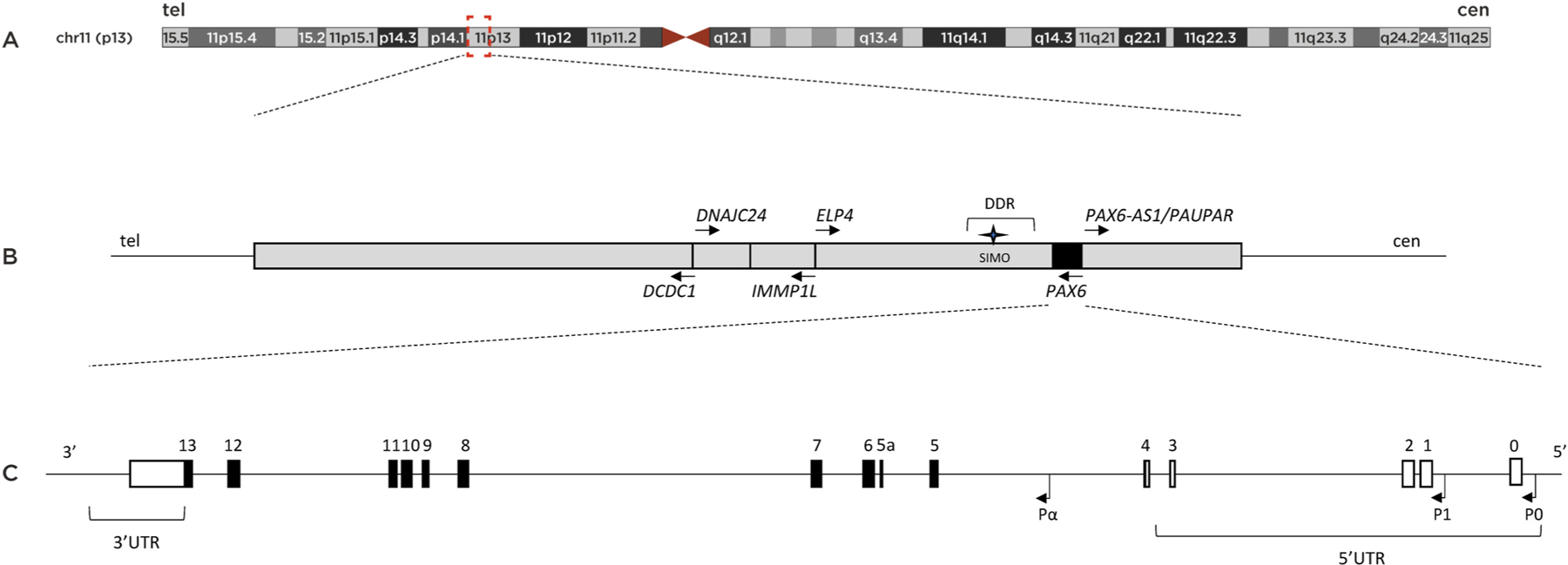 Fig. 9.