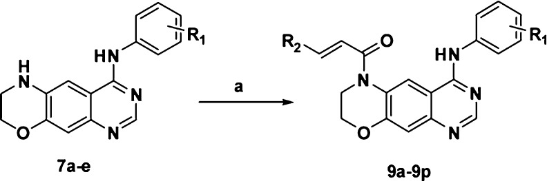 Scheme 2