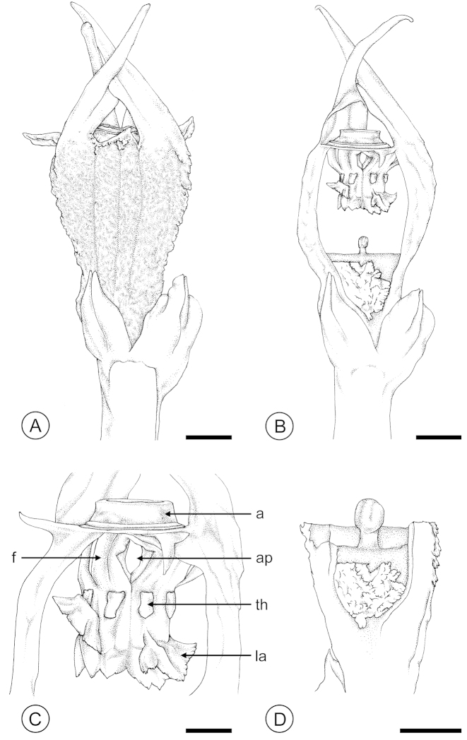 Figure 4.