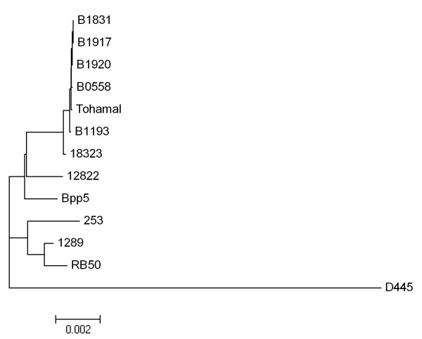 Figure 7