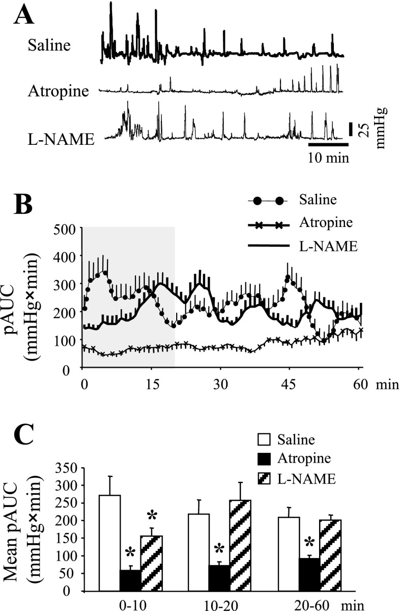 Fig. 6.