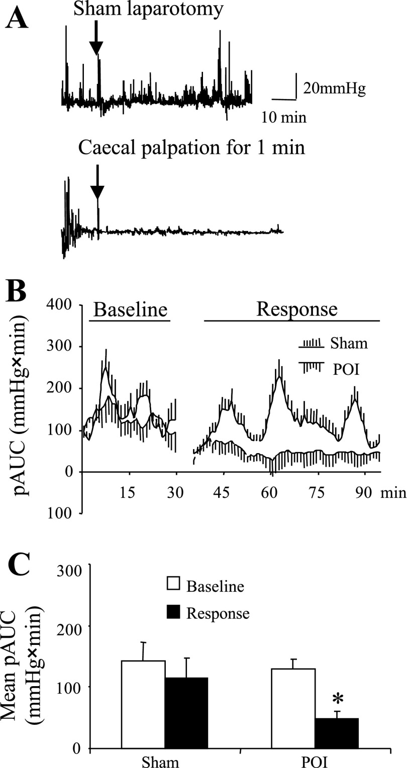 Fig. 10.