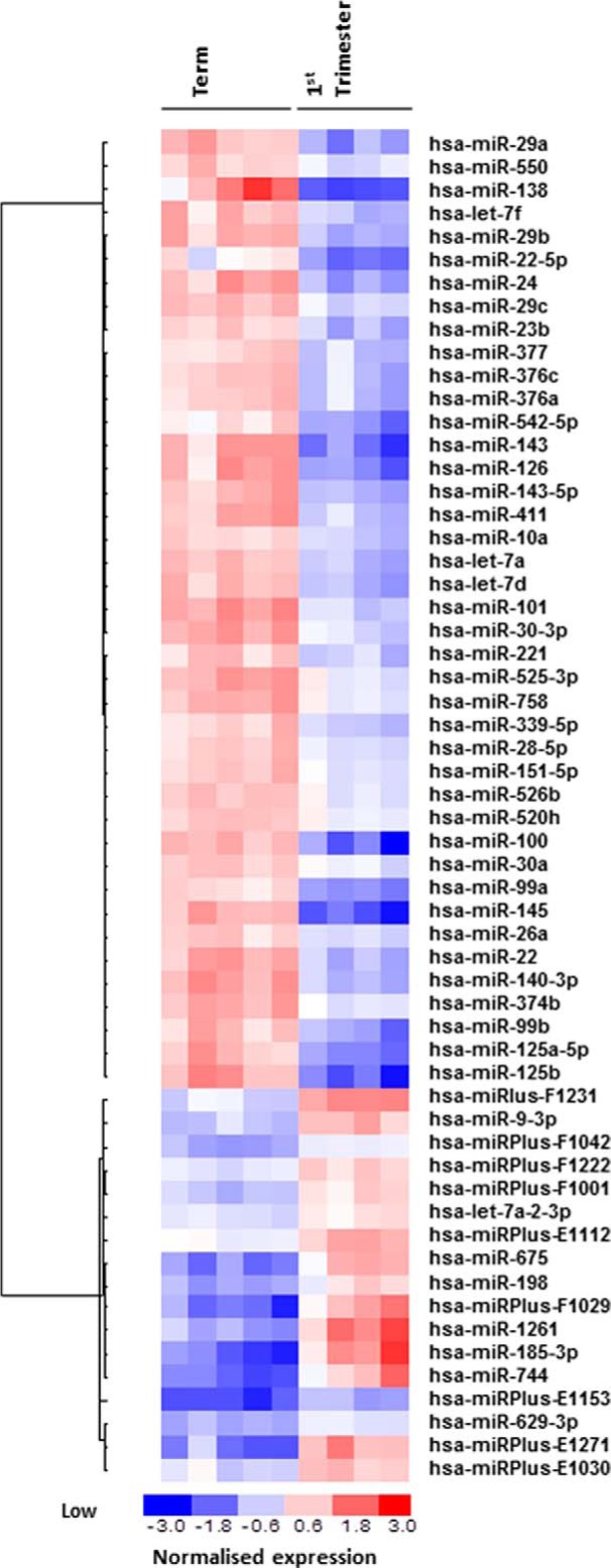 FIGURE 1.