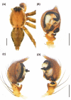Fig 9