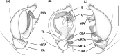 Fig 22