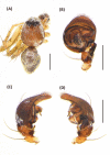 Fig 25
