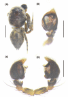 Fig 23