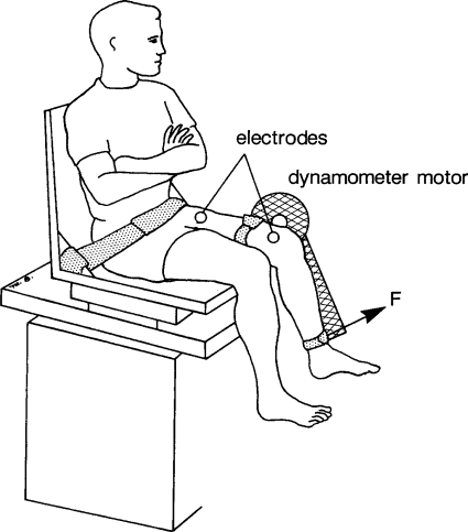 Fig. 1.