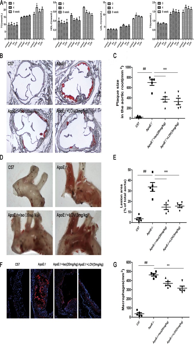 Fig 8