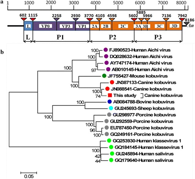 Fig. 1