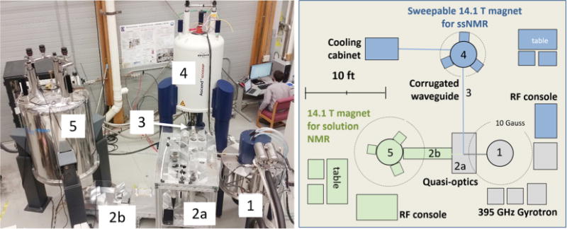 Fig. 1