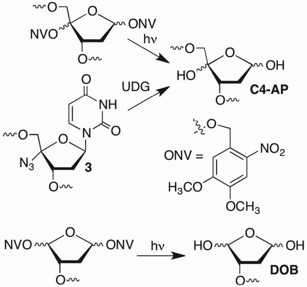 Scheme 3