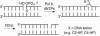 Scheme 8