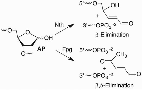 Scheme 7