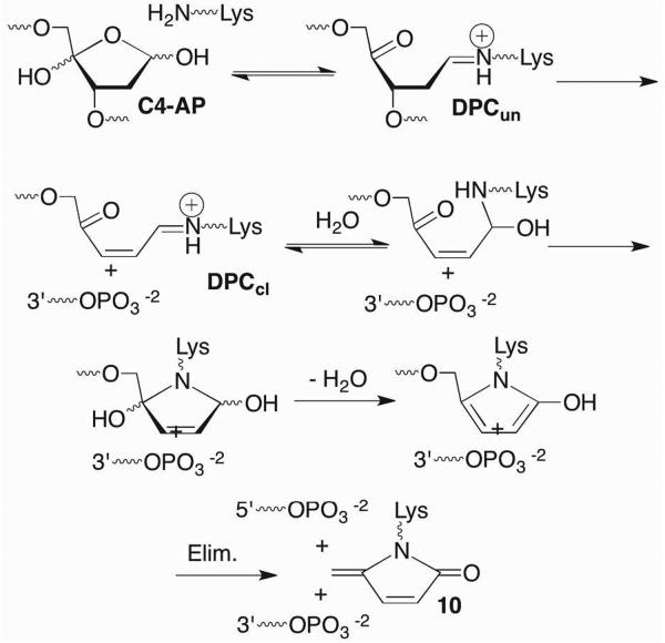 Scheme 15