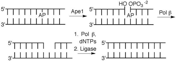 Scheme 5