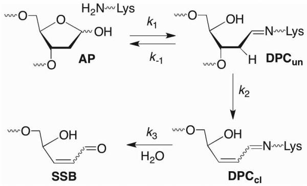 Scheme 14