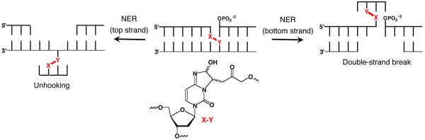 Scheme 13