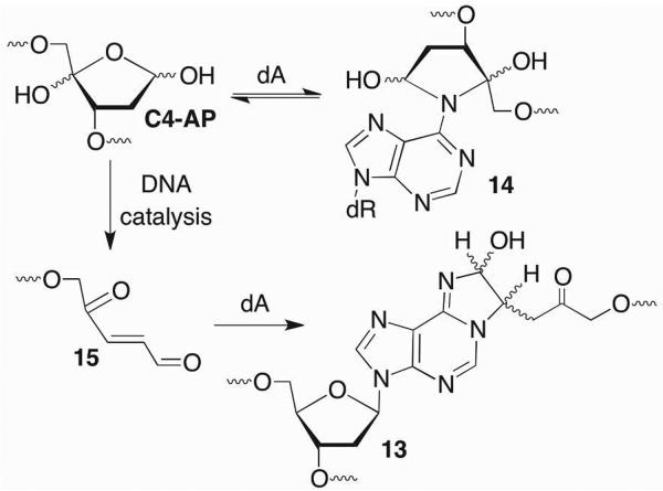 Scheme 11