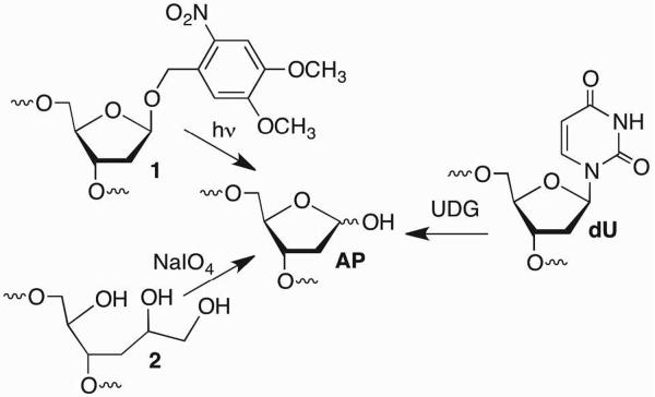 Scheme 2