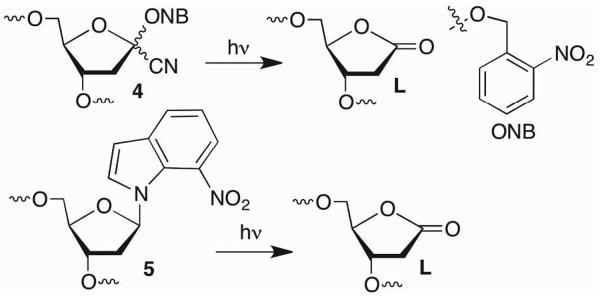 Scheme 4