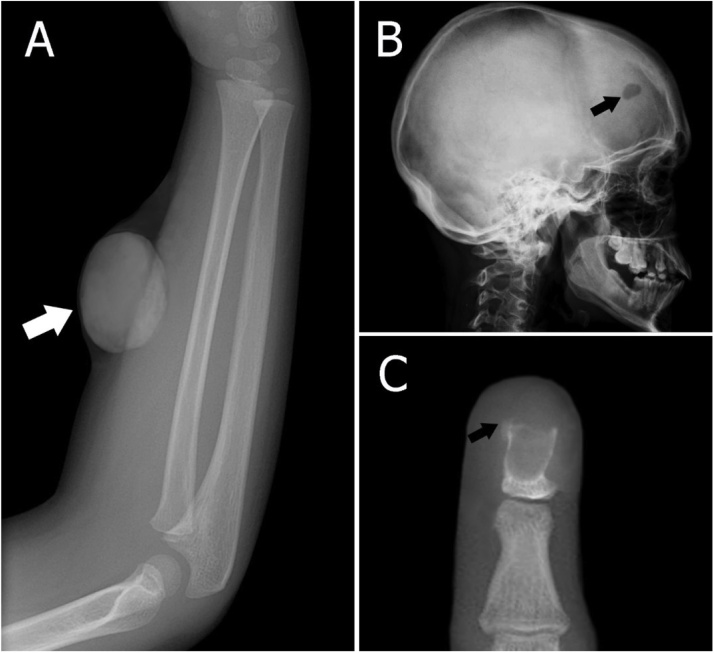 Fig. 7