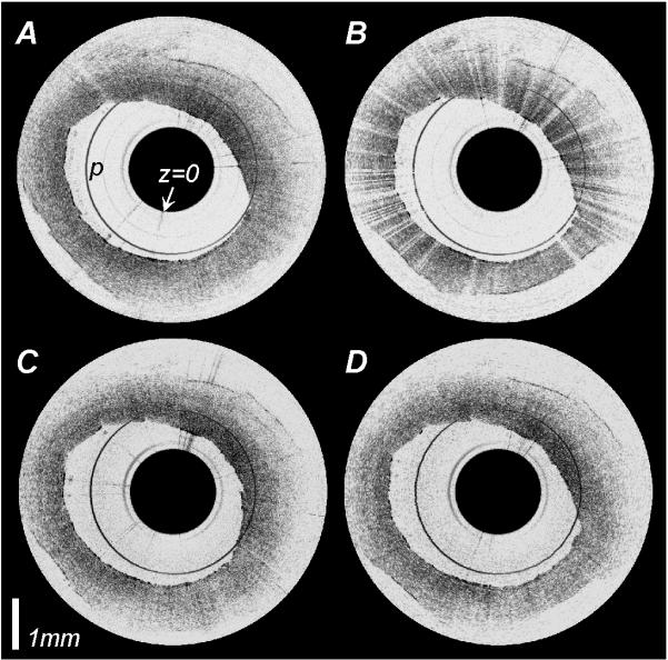 Fig. 7