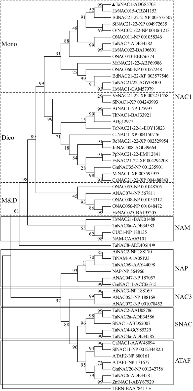 FIGURE 2