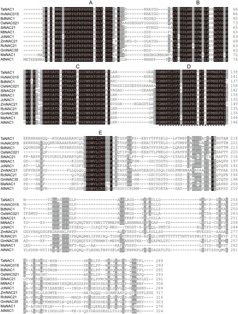 FIGURE 1