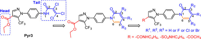 Figure 2